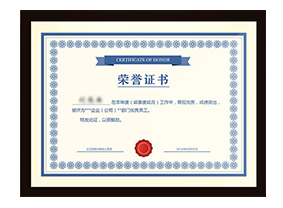 榮譽(yù)資質(zhì) 榮譽(yù)資質(zhì)